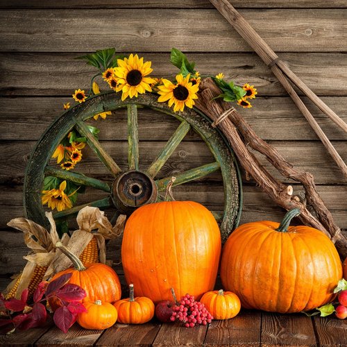 pumpkins and fall decorations