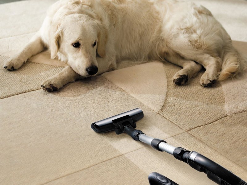 Care & Maintenance Of Carpet Articles By Carpet City Inc