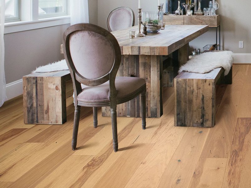 Epic Plus Articles From Shaw & Carpet City Inc